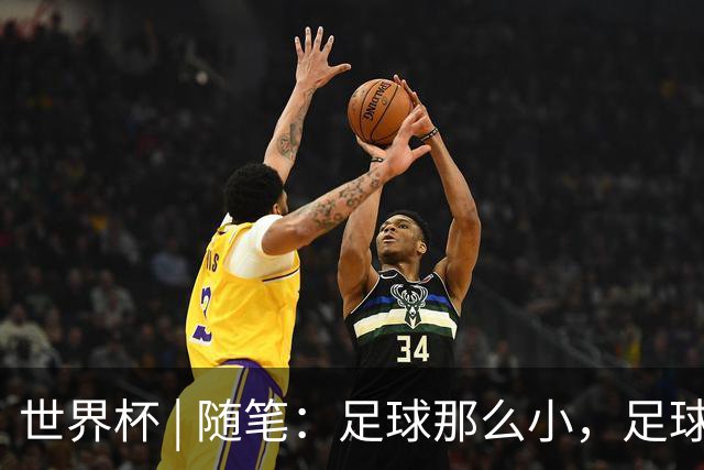 世界杯 | 随笔：足球那么小，足球这么大