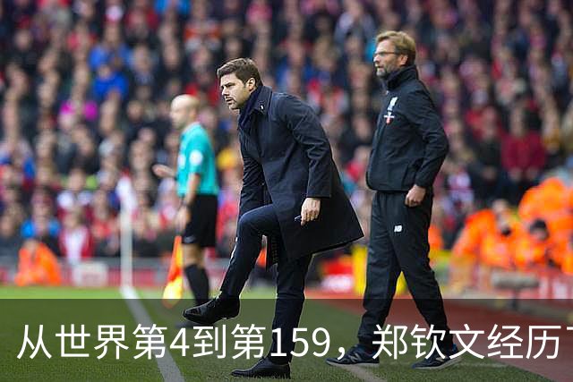 从世界第4到第159，郑钦文经历了什么？